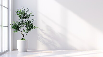 A wall painted in a pristine white tone serves as a backdrop for a strategically placed plant, contributing to the aesthetic appeal of the space.