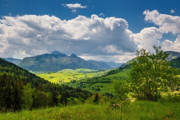Spring rural landscape with blue sky with white clouds. Meadows on the hillside of the Little Fatra Mountains in Slovakia, Europe. - obrazy, fototapety, plakaty