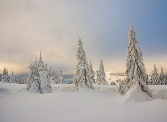 Super froze winter snow landscape on wintersport. Cross country ski. Arctic landscape with frozen...