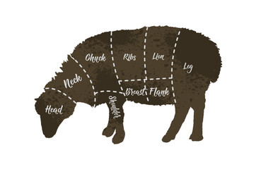 Obraz premium Butcher diagrams of meat cuts, sheep, lamb, mutton, lamb - vector illustration