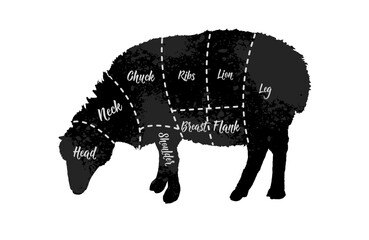  Butcher diagrams of meat cuts, sheep, lamb, mutton, lamb - vector illustration