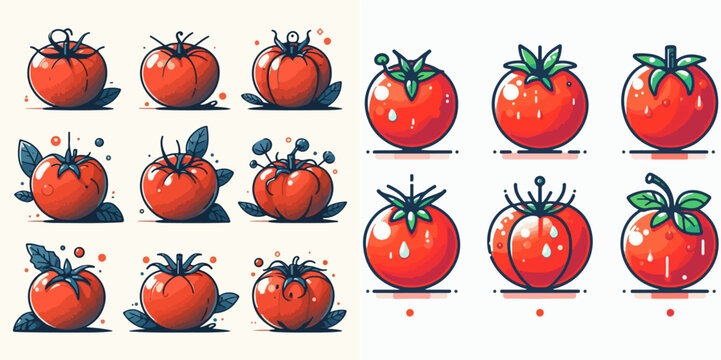 set of 6 tomatoes in a simple and minimalist cartoon vector style. plain white background