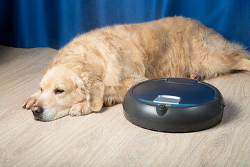 A robot vacuum cleaner and a dog.A modern vacuum cleaner for cleaning the house.