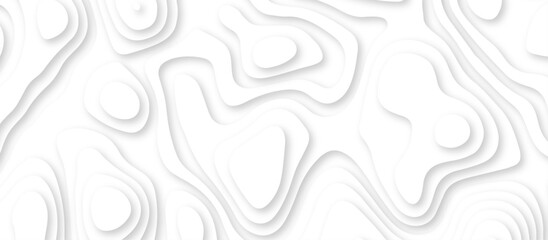 Abstract geometric layered curve line white background. 3d render, paper cut vector art background banner texture. multi layer cutout geometric patterns with smooth wavy layer. white background.