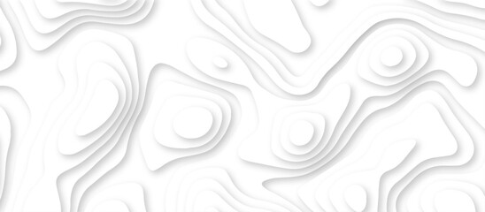 Fototapeta premium Abstract geometric layered curve line white background. 3d render, paper cut vector art background banner texture. multi layer cutout geometric patterns with smooth wavy layer. white background.