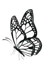 Butterflies beautiful black , decor, isolated vector image on white