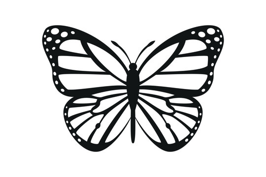 Butterflies black beautiful , decor, isolated vector image on white