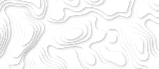 Abstract geometric layered curve line white background. 3d render, paper cut vector art background banner texture. multi layer cutout geometric patterns with smooth wavy layer. white background.