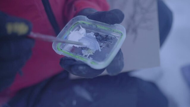 Close-Up Shot Of Man Mixing White Paint Color In Lid - Fairbanks, Alaska