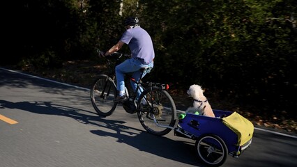 Closeup rear side view of elderly senior man riding an e-bike biking on trail pulling a trailer with a cute white dog in it in Southern California. Dog looking at camera .