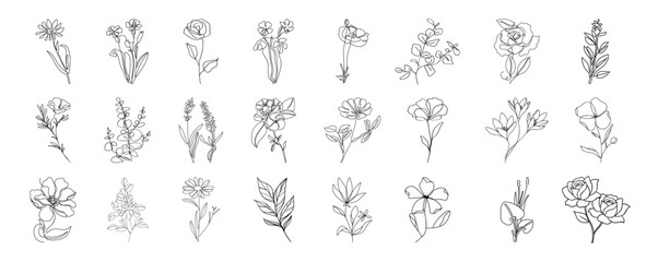Set of hand drawn plants, leaves, flowers. Hand drawn thin floral botanical line art.