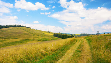 path through grassy meadow. green hills rolling in to the distance. blue sky above the distant mountain ridge on the horizon. rural tourism in summer. explore countryside of ukraine
