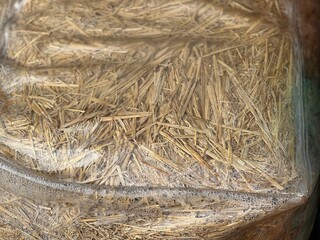 Bale of straw and hay