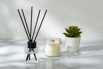 Elegant Home Fragrance Reed Diffuser Displayed Beside Scented Candles and Succulents