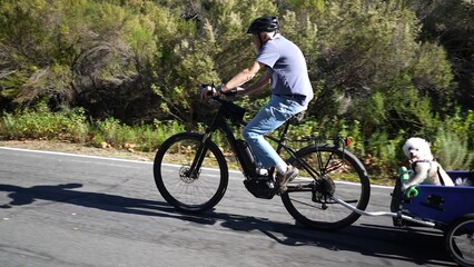 Side view of elderly senior man riding an e-bike biking on trail pulling a trailer with a cute white dog in it in Southern California. Dog looking at camera .