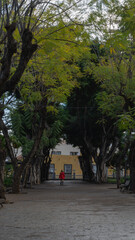 Solitary Stroll in Autumn Park