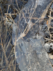 thin transparent ice on a puddle in the park on a spring day, foliage through the ice, dry grass through ice