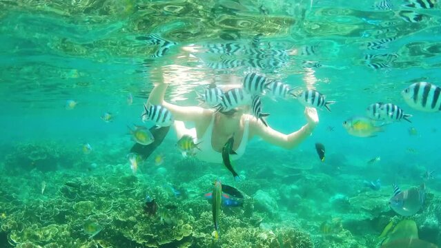 Woman, swimming and coral reef with fish snorkeling in Indonesia for vacation, ecology or underwater adventure. Female person, island trip and sea bed for animal wildlife or plants, diving for travel