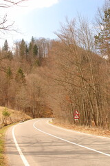 Fototapeta premium A road with trees on either side