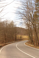 Fototapeta premium A road with trees on either side