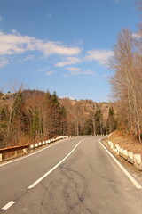 A road with trees on either side