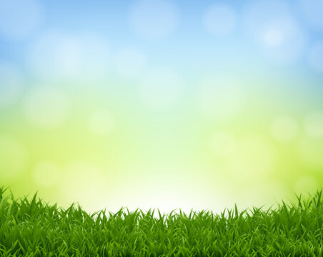 Spring Banner Nature Background And Grass Border