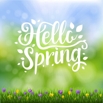 Spring Text Banner With Bokeh And Grass