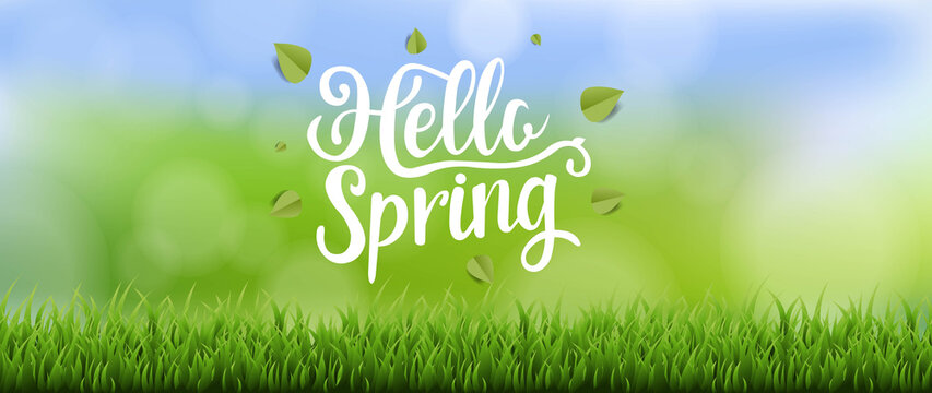 Hello Spring Text Banner With Grass And Bokeh