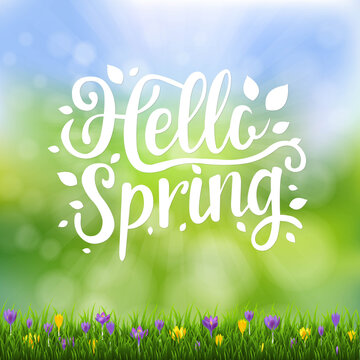 Spring Text Banner With Bokeh And Grass And Spring Flowers