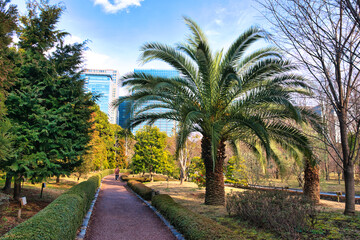 TOKYO, JAPAN - MARCH 08, 2024: Tokyo Imperial palace in Chiyoda district. This was on a sunny...