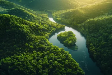 Foto op Plexiglas The serpentine flow of a forest river captures the essence of nature's artistry, bathed in the soft light of a setting sun, from an aerial perspective. © Maria