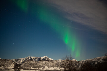 Green aurora lights up the sky above snowy mountains