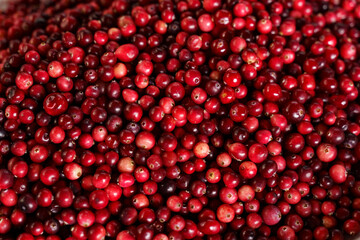 Pile of Cranberries on Table