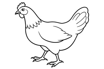 hen line art and illustration 