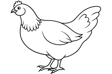 hen line art and illustration 
