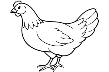 hen line art and illustration 