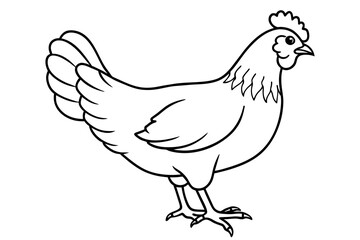 hen line art and illustration 