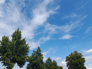 Bäume und Wolken, Zirruswolken