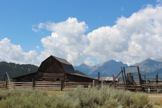Old farm property in Wyoming.  Blue sky and green grass.  Clouds in sky.  Barn outbuilding in Wyoming countryside with Tetons in the background.  Mormon Row outbuildings. Tetons in August. 