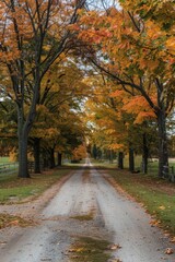 A scenic dirt road surrounded by trees. Ideal for nature and travel concepts