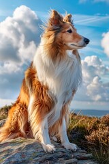 A brown and white dog sitting on top of a rock. Perfect for nature and animal themes