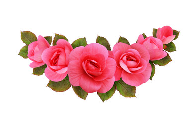 Pink begonia flowers in a floral arrangement isolated on white or transparent background