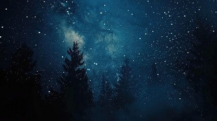 A beautiful night sky filled with twinkling stars. Perfect for backgrounds or space-themed designs