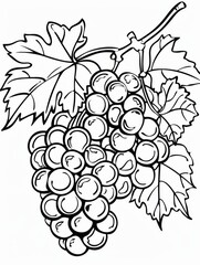 Fototapeta premium A classic black and white line art illustration of ripe grapes with round, plump fruits, serrated leaves, and a long, winding stem. Elegant and simple, ideal for diverse creative projects.