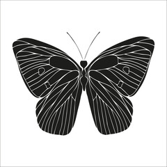 Butterfly black silhouette art illustration. Insect butterfly for stickers, tattoo, silhouette, scrapbook. Winged gorgeous animal. Vector hand drawn illustration, isolate on white background