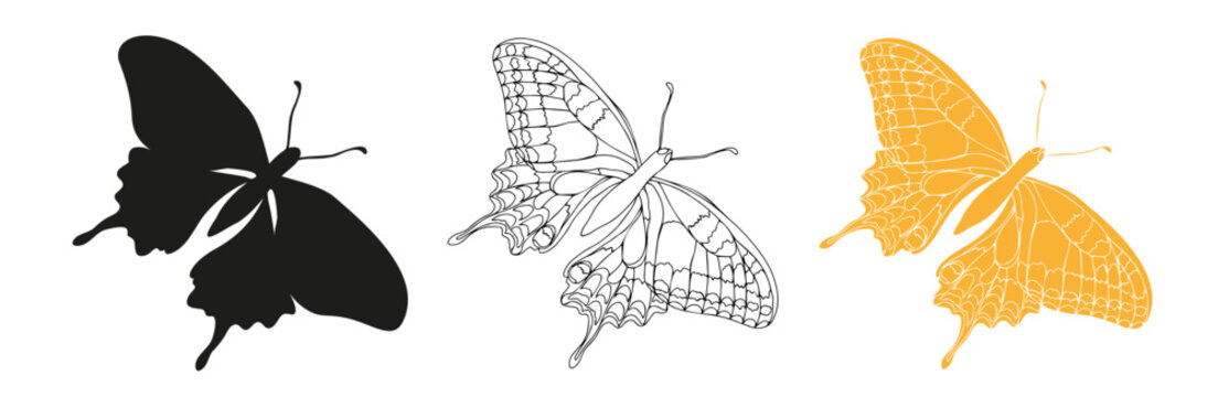 Butterfly black ink line art, silhouette illustrations. Insect set for coloring page, tattoo silhouette, hand drawn stickers, coloring page. Vector illustration, isolate on white background.