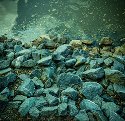 the rocks are next to the water and a few leafs