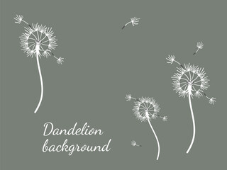 Dandelion_background1-50.eps