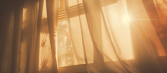 A view of sunlight filtering through a window covered by sheer curtains, casting a soft glow in a room with tree outlines in the background