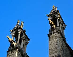 Obraz premium Versailles, Paris, France, June 30, 2022. Detail of Notre Dame cathedral with two gargoyles illuminated by the warm light of late afternoon.